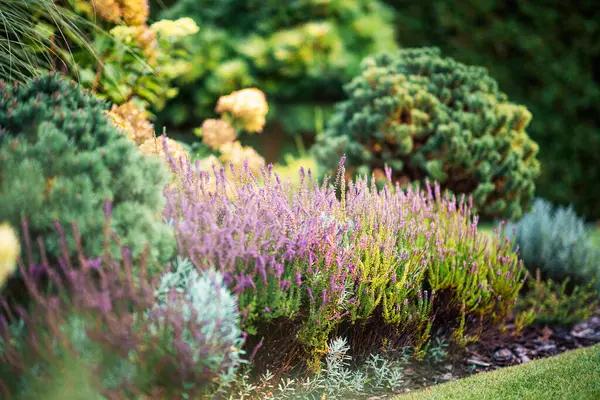 Adding a Splash of Color to Your Garden with Mulch Dye